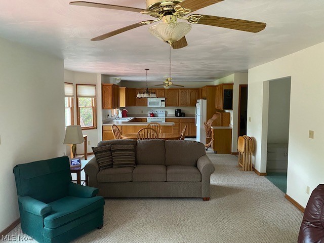 Rjab Company Plat #1 - Residential