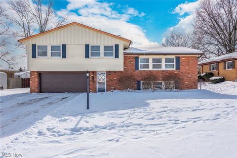 4132 Dennis Lane Brunswick OH 44212