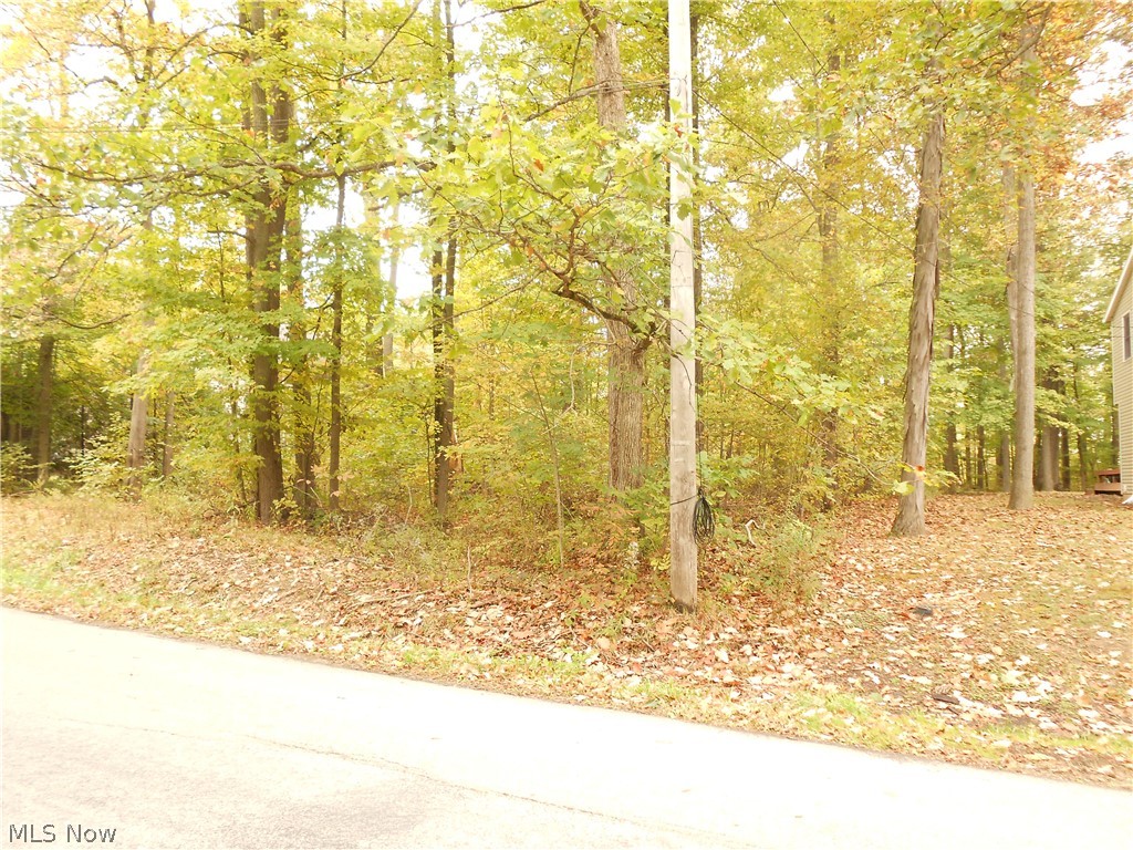 Cinnamon Lake Sub #ii - Land