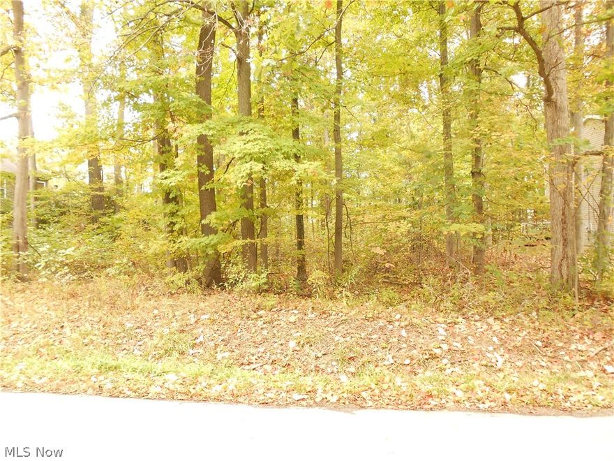 This is a package deal..... Buildable wooded lot for a new home OR use for summer getaway!!!Inside Cinnamon Lake (Secured Gated community) near Ashland , Ohio between Cleveland & Columbus. Which offers a nice lodge,pool,sand beach,volleyball and tennis courts. 135 acre Lake with six mile of shoreline stocked with many varieties of fish.  Inside Cinnamon Lake is a private camp ground which sits a 28 ft Ultra-lite Camper 2003 (sleeps 6) you could use for a summer get away!!!! Cinnamon Lake is a quiet,restful,relaxing community that also offers year-round natural beauty!   So build a dream home or use for your summer fun!!!!