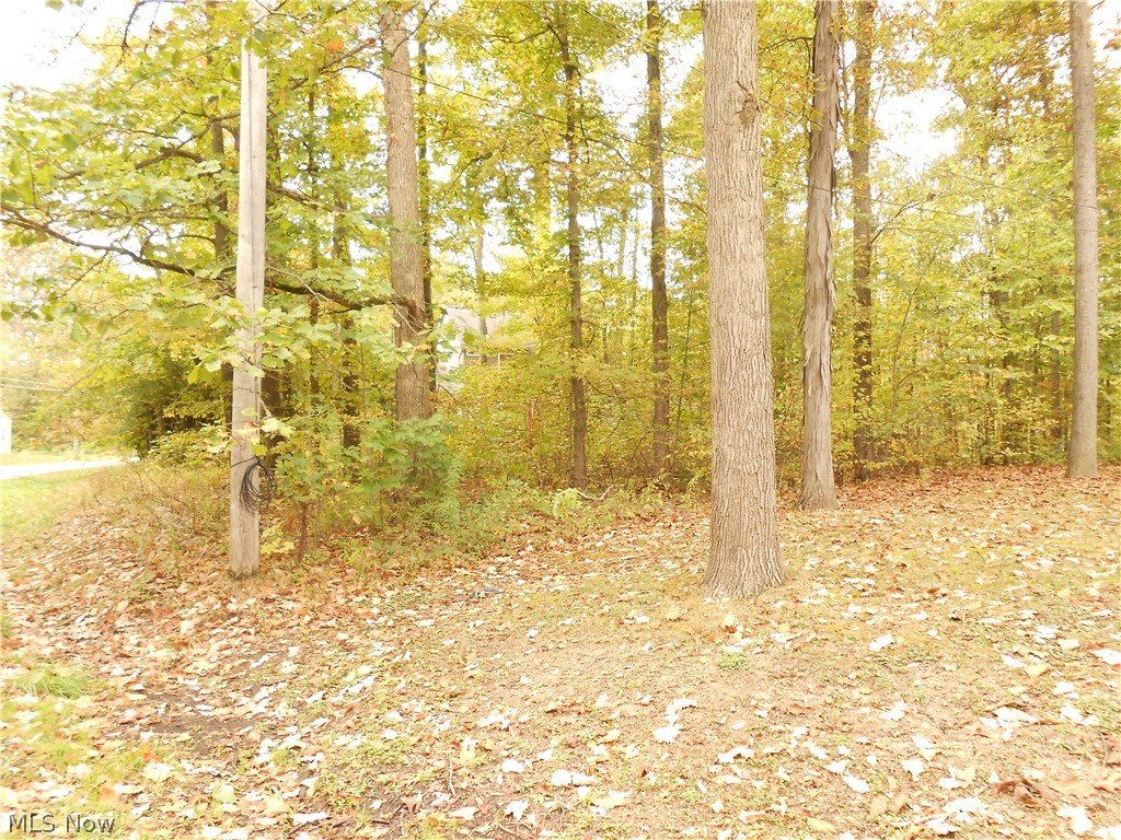 Cinnamon Lake Sub #ii - Land