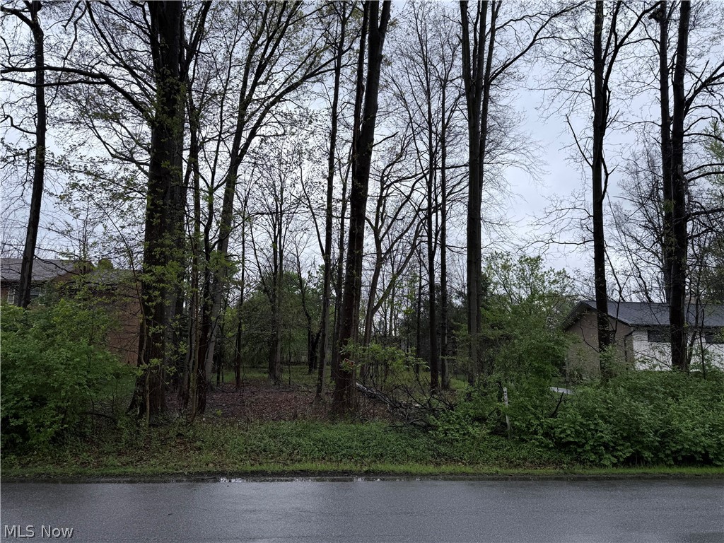 Vincent Road