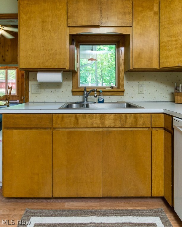 Auburn 03 - Residential