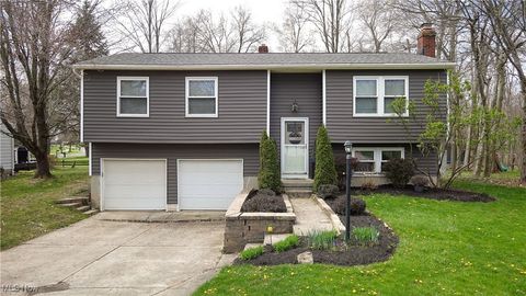 3314 Concord Drive Brunswick OH 44212