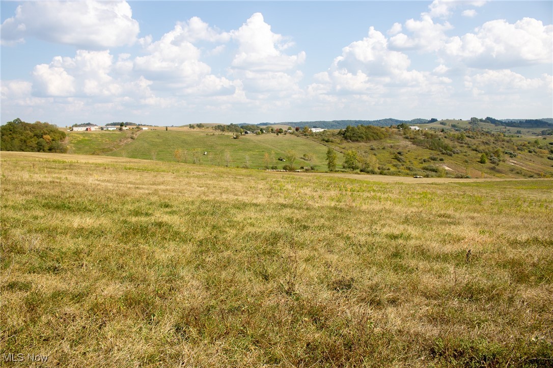 Here is a perfect building site with approximately 5.79 acres located in Ridgewood School District. Postal address already assigned. Driveway staked off and ready for ground breaking. This is located between Newcomerstown and West Lafayette off a gravel county road to provide that true out in the country feeling with rolling hills for views.