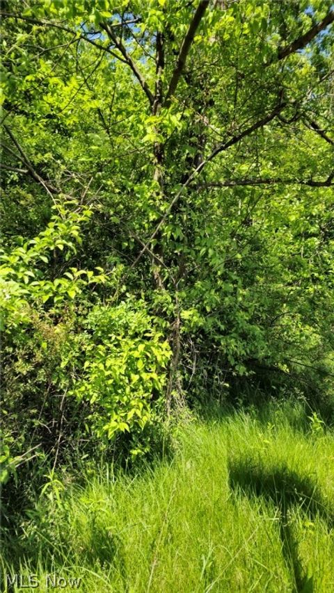 Vacant Land For Sale - Mathews Road<br/> Mahoning County, Boardman, OH 44512