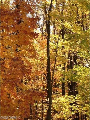 Laurel Glens - Residential