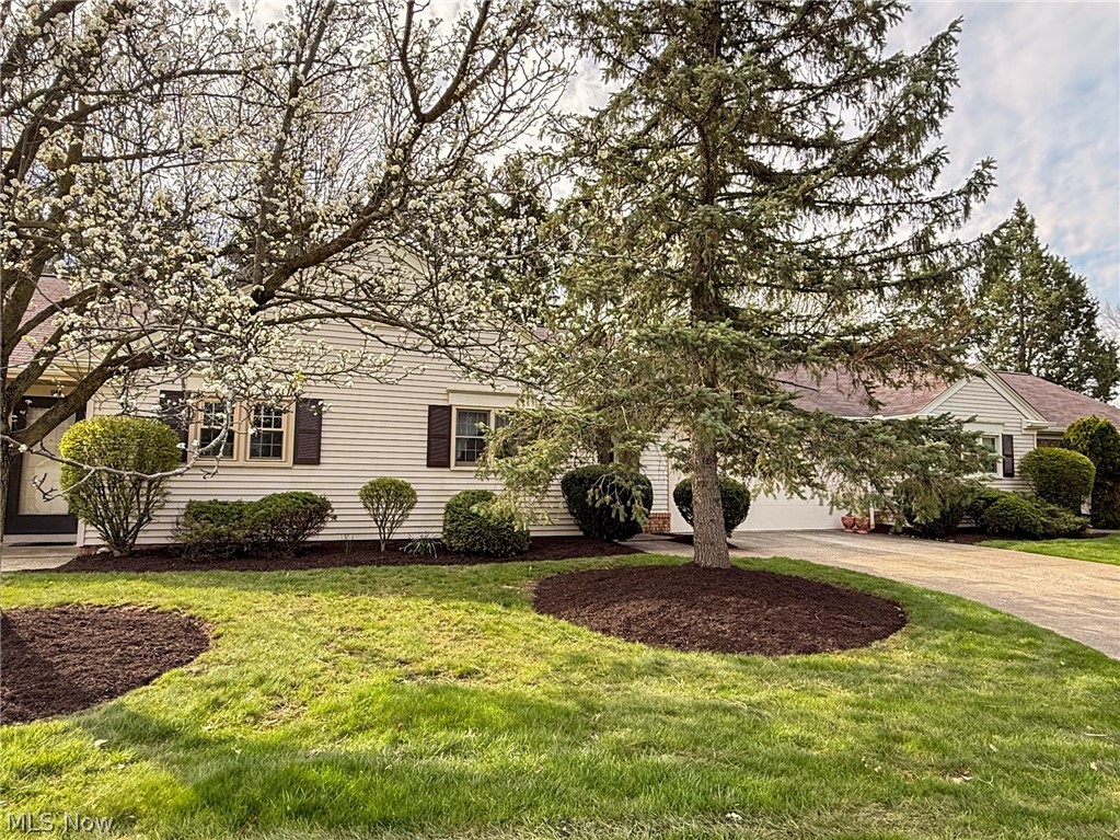 Medina City - Residential