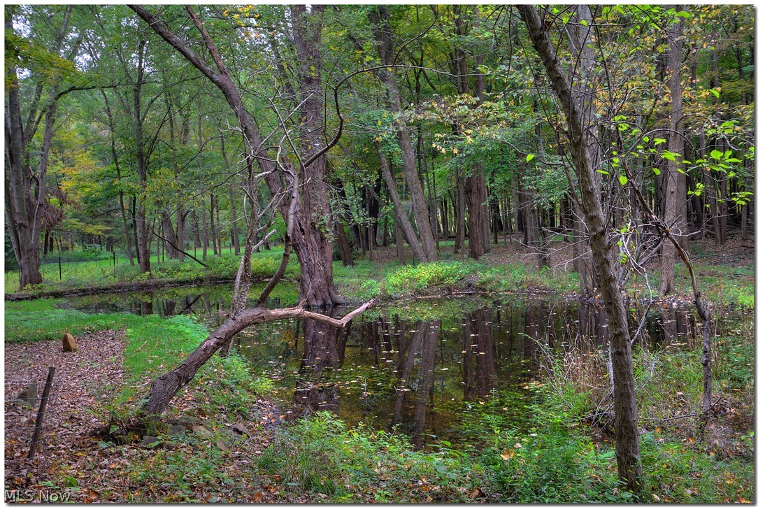 Orange - Residential