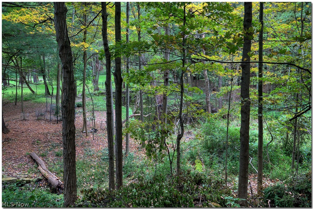 Orange - Residential