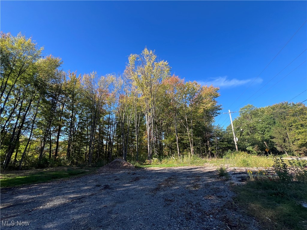 8625 Bainbridge Road