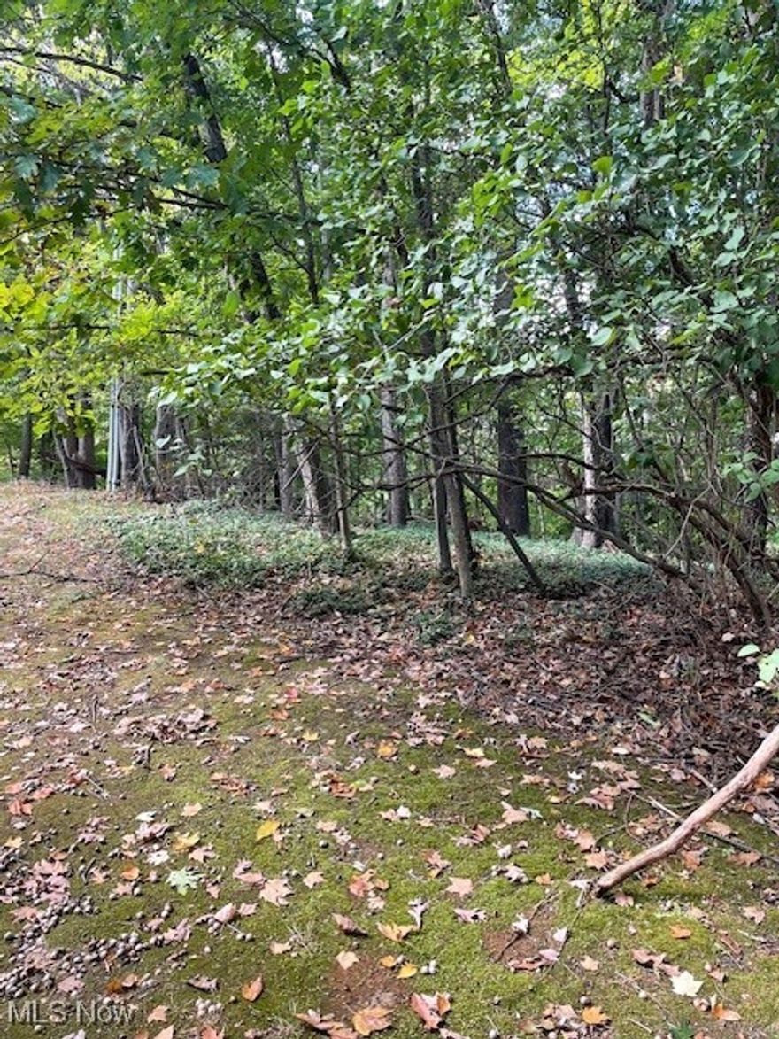 This Brecksville condominium features Two Bedrooms and 1.5 Baths. New carpeting was installed on 10/01/24 and the property was freshly painted. There is nothing to be done except move your furniture in and enjoy your new home. Double hung windows were 
replaced in 2012 but look to be in excellent condition. Brick Fireplace is not in use and was sealed by Realty Management in 2023.
Convenient location to shopping, freeways and Buss line.