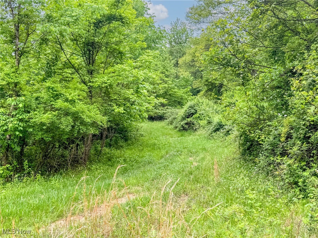 24981 Township Rd 26, Coshocton, Ohio image 24