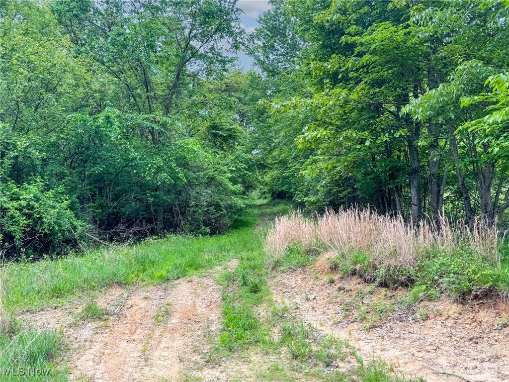 24981 Township Rd 26, Coshocton, Ohio image 23