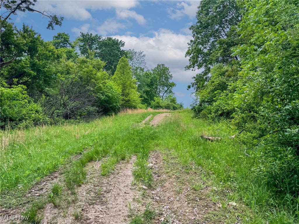 24981 Township Rd 26, Coshocton, Ohio image 21