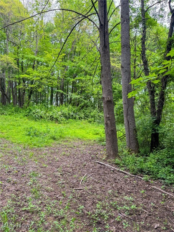 24981 Township Rd 26, Coshocton, Ohio image 27