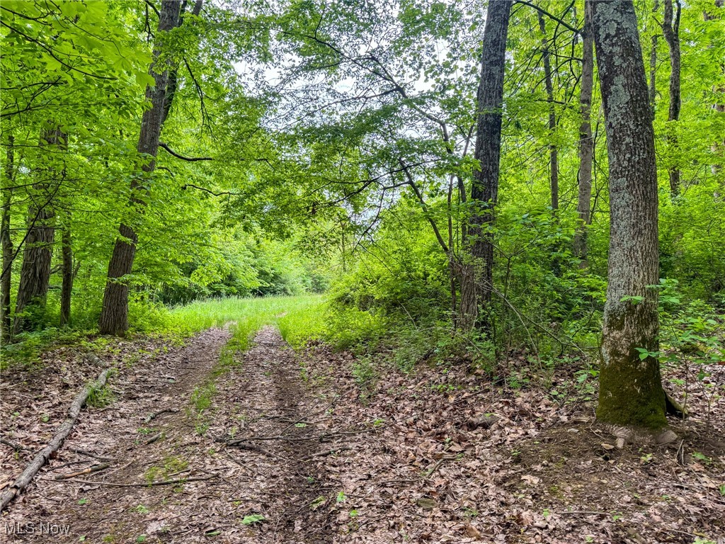 24981 Township Rd 26, Coshocton, Ohio image 19