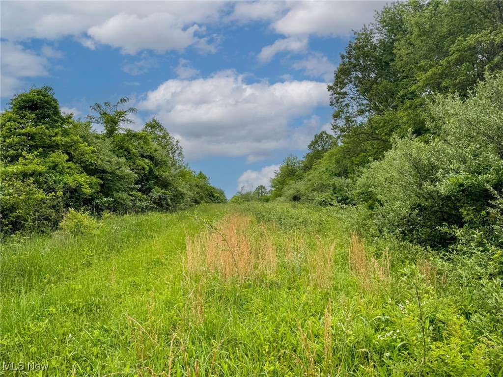 24981 Township Rd 26, Coshocton, Ohio image 28