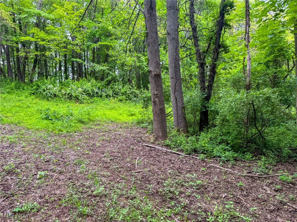 24981 Township Rd 26, Coshocton, Ohio image 26