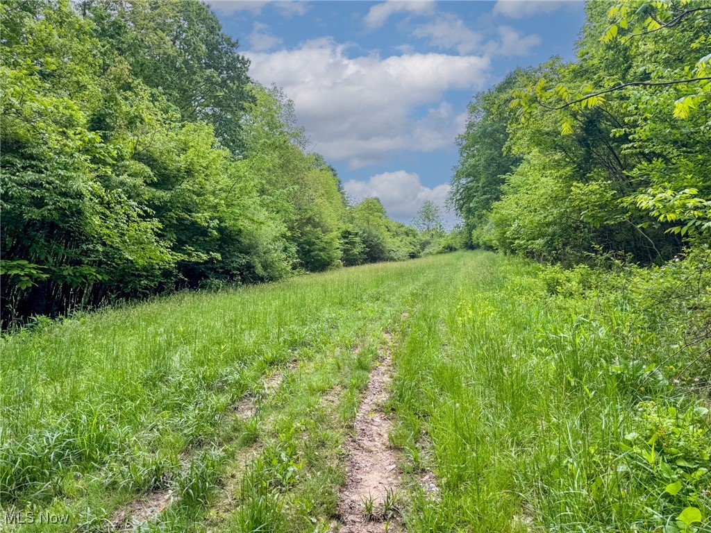 24981 Township Rd 26, Coshocton, Ohio image 20