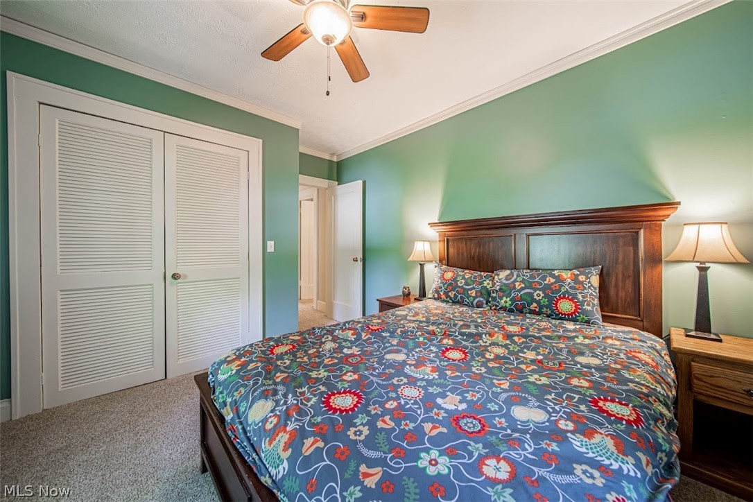 Forest Hill - Residential