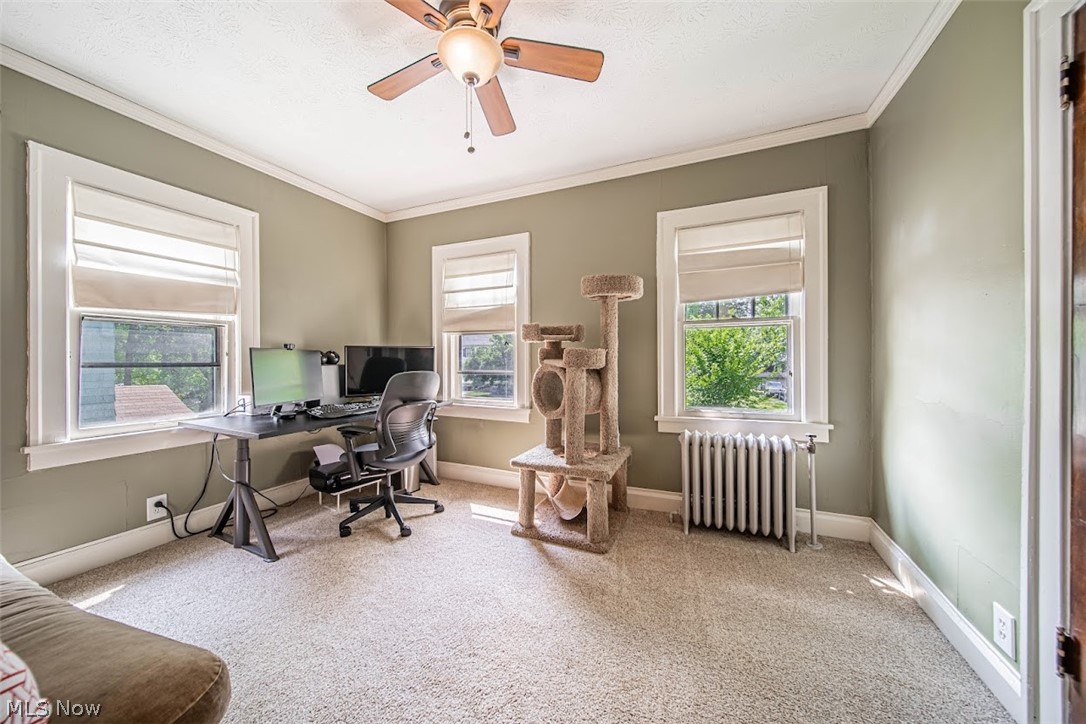 Forest Hill - Residential