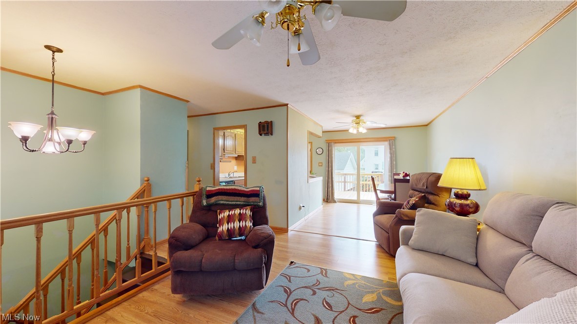 Avondale Allotment - Residential