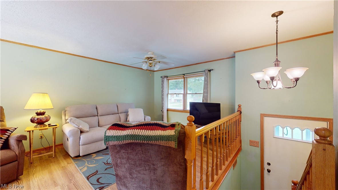 Avondale Allotment - Residential