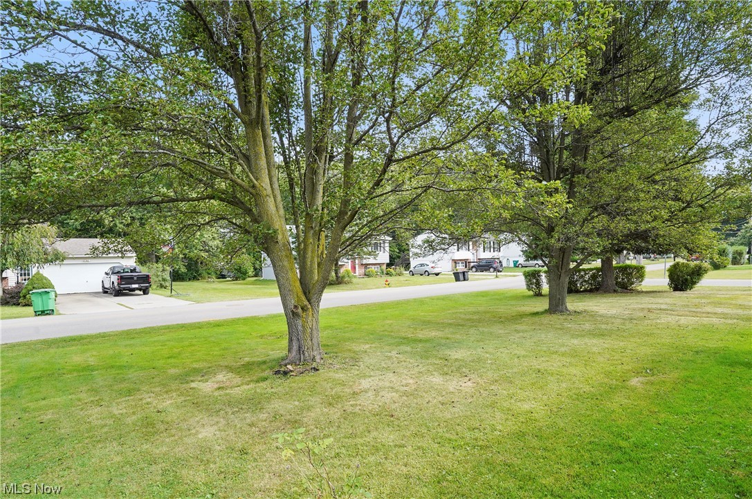 Avondale Allotment - Residential