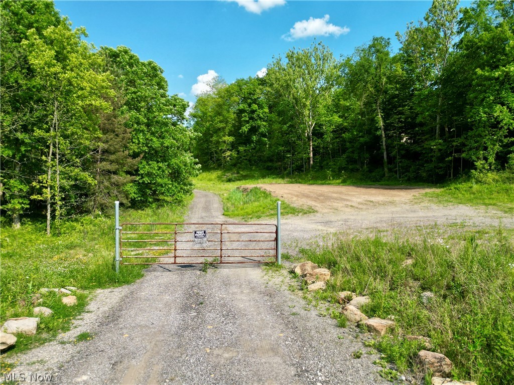 VL Ridge Road, North Royalton, Ohio image 1