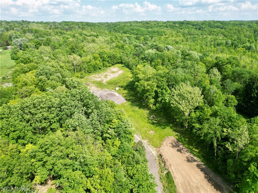 VL Ridge Road, North Royalton, Ohio image 8