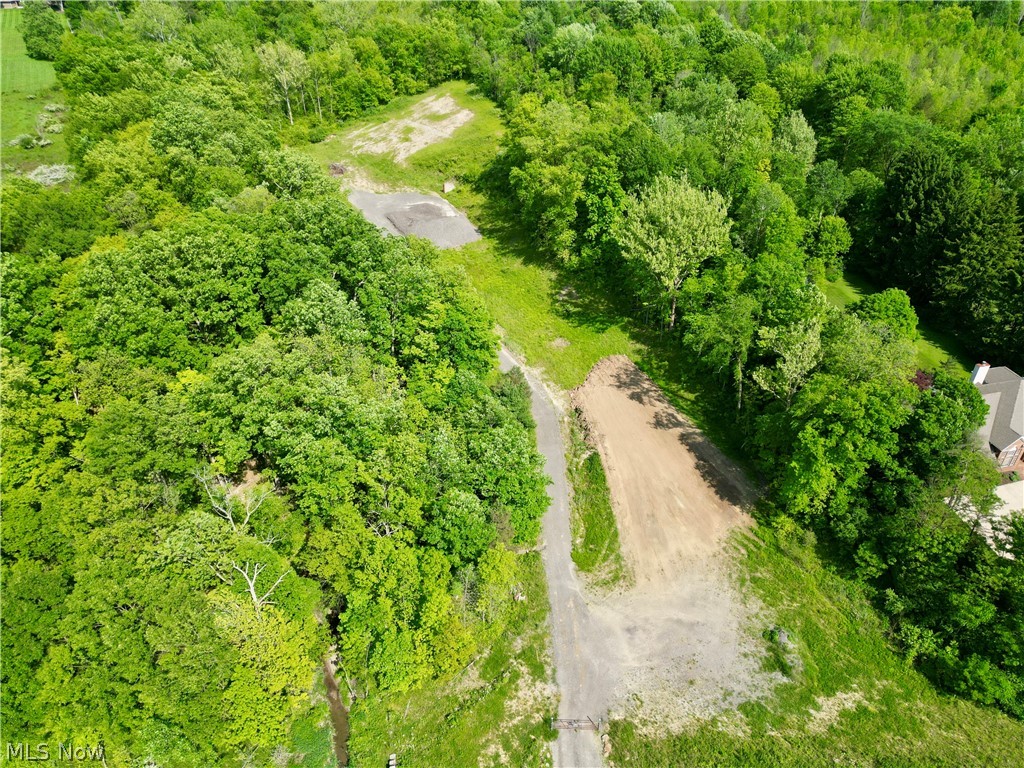 VL Ridge Road, North Royalton, Ohio image 9