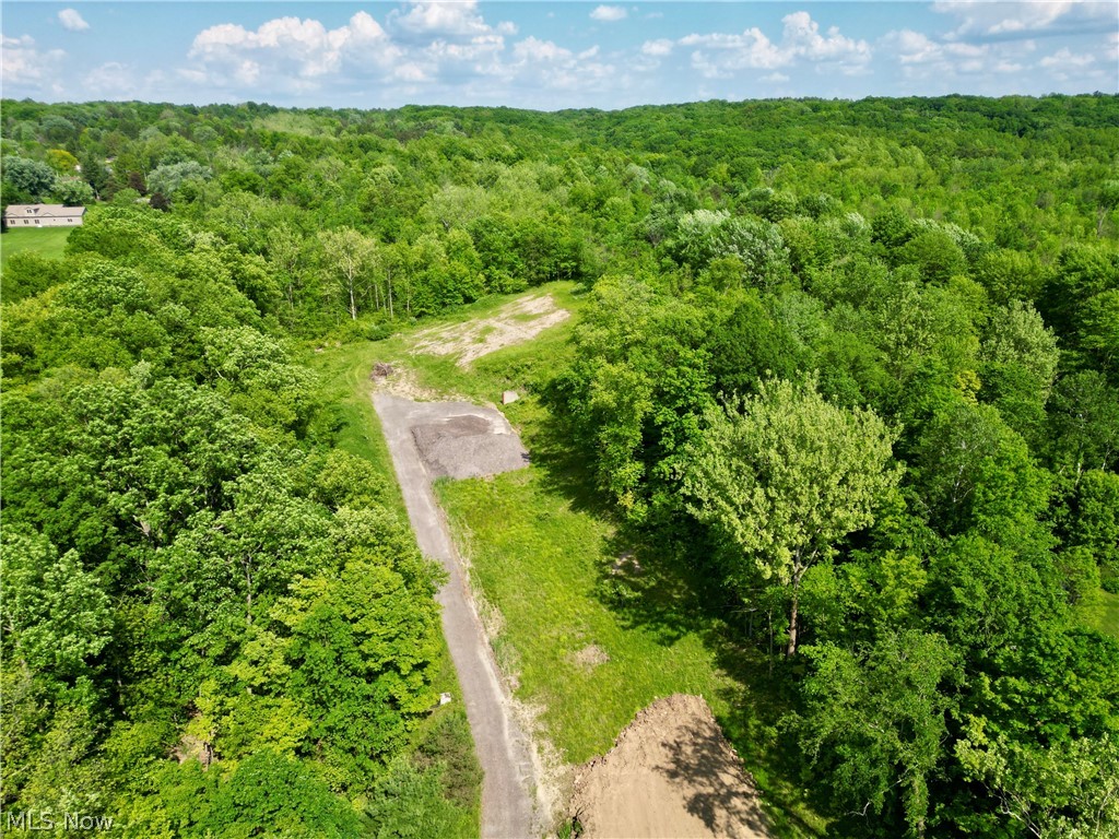 VL Ridge Road, North Royalton, Ohio image 6