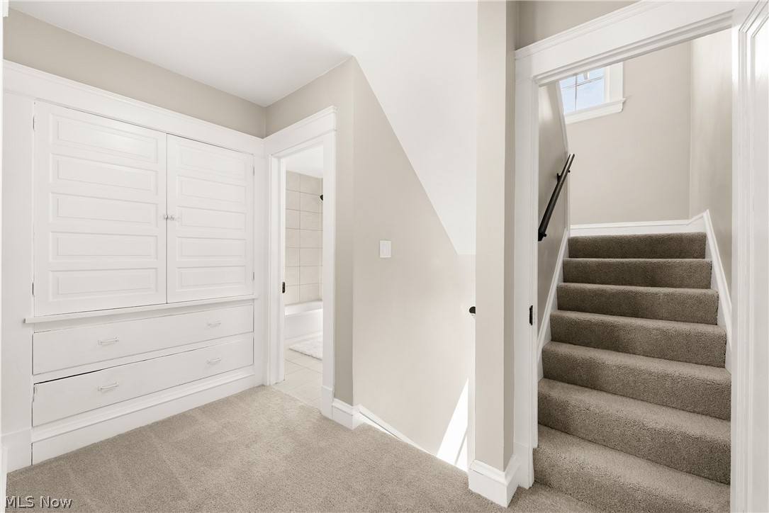 Wayne Ave Sub/S Colshans - Residential