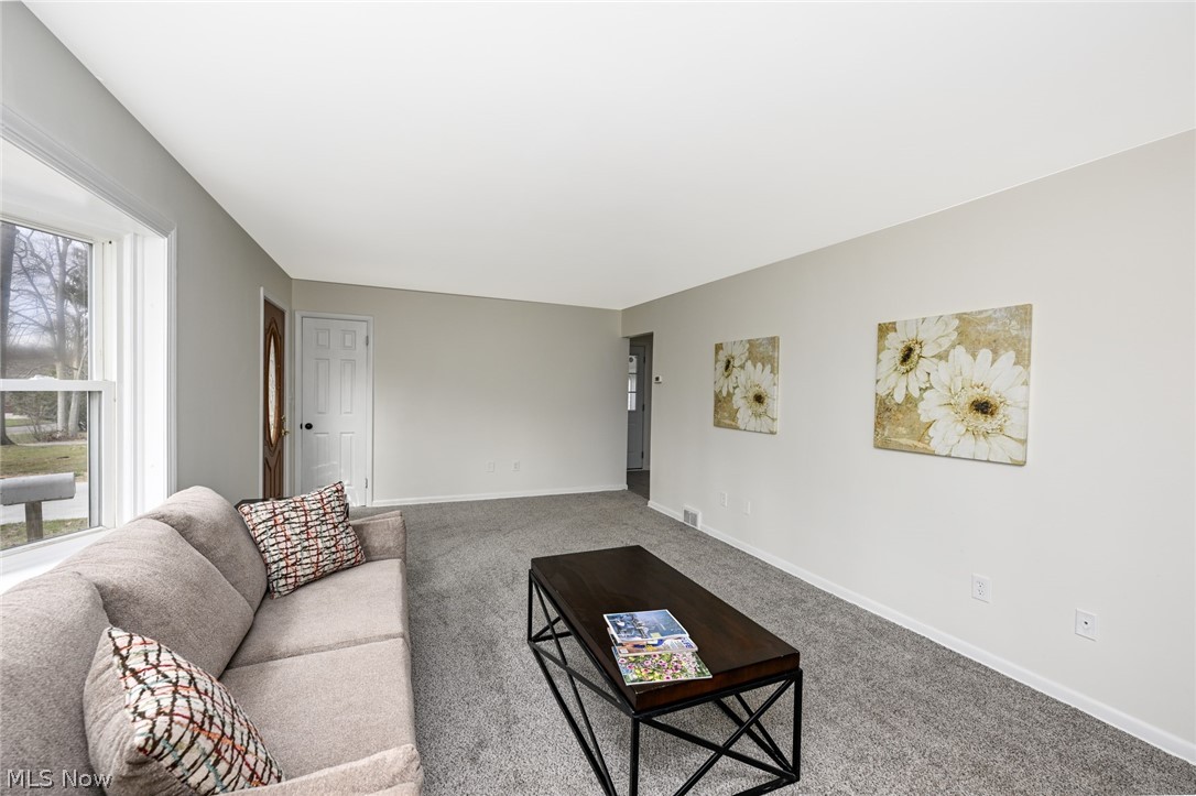 Newton Street Acres - Residential