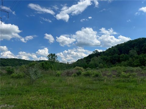 Vacant Land For Sale - 9405 Jackman Road<br/> Negley, OH 44441