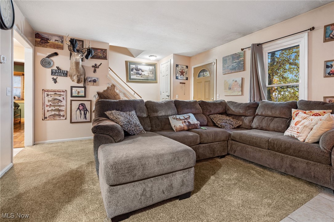 Mcdaniel Allotment - Residential