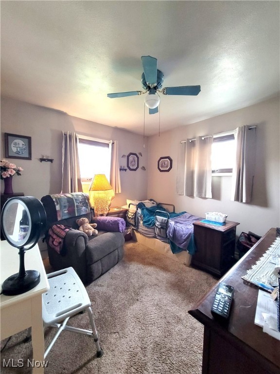 721 Marion Avenue, Massillon, Ohio image 10