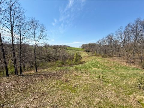 Vacant Land For Sale - Claysville Rd<br/> Cumberland, OH 43732