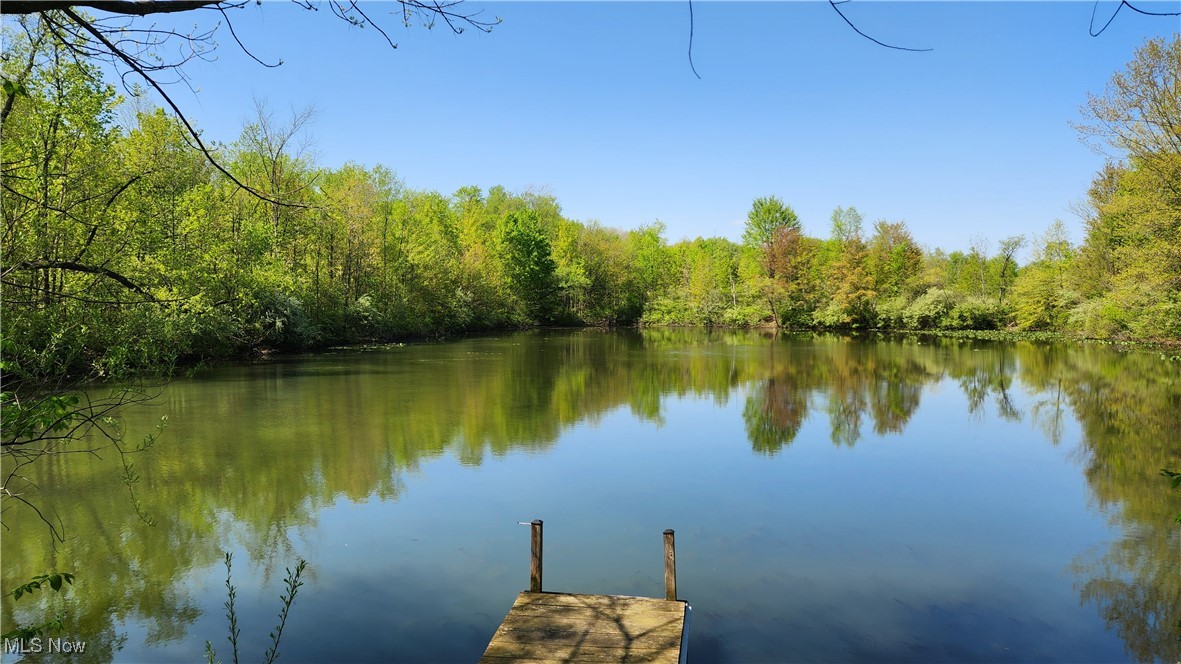 11466 Bloom Road, Garrettsville, Ohio image 2