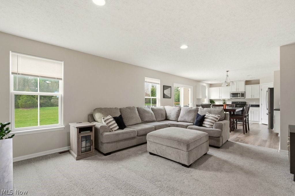 Arbor Lks/Cobblestone Park - Residential