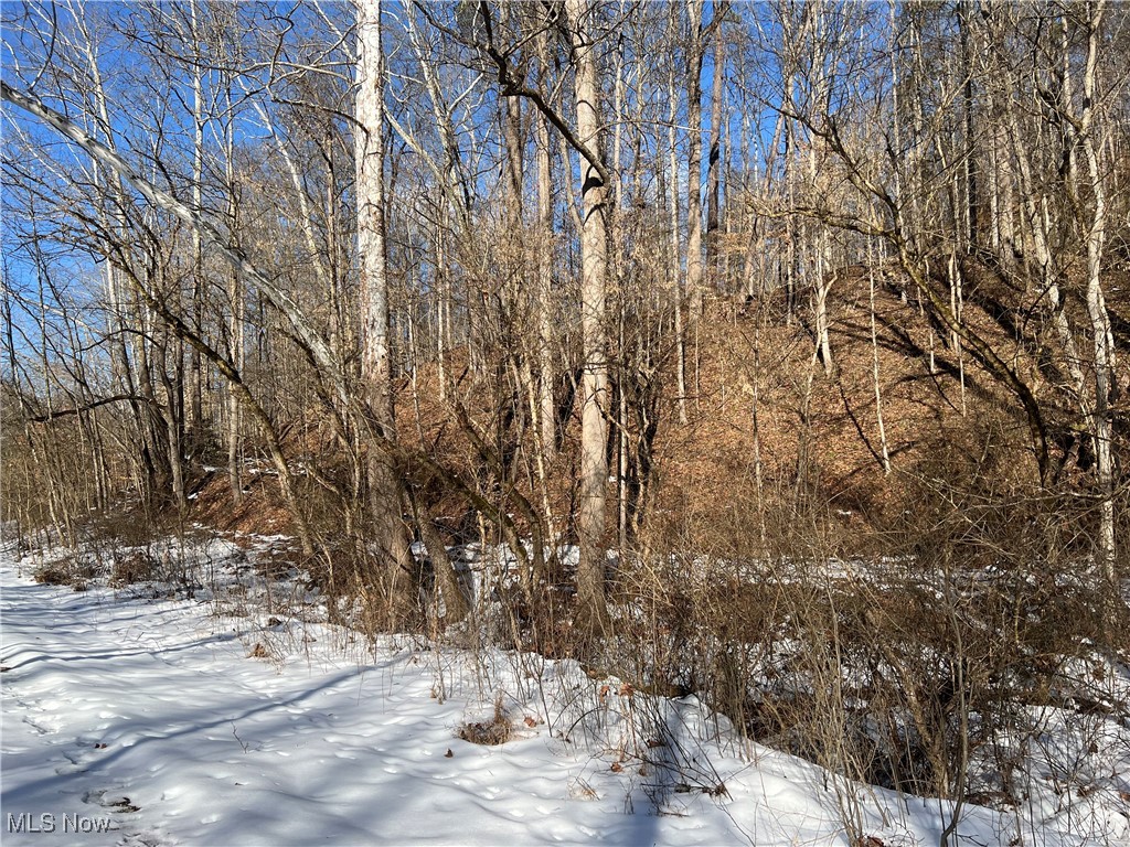 Walker Road, Walker, West Virginia image 4