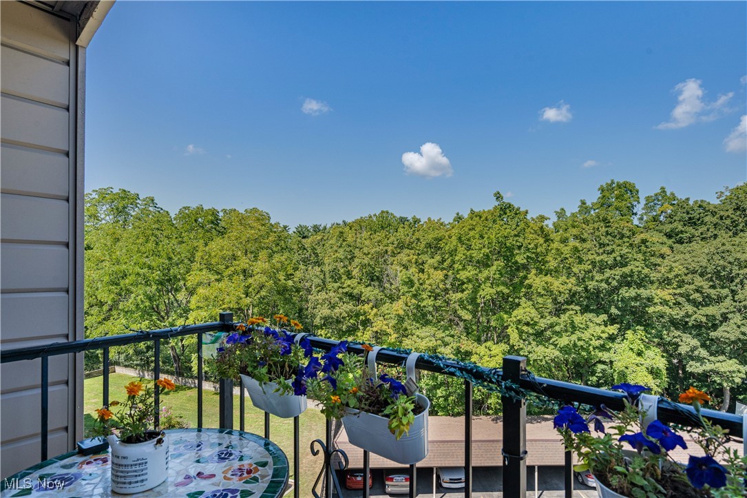 West Blvd Condo - Residential