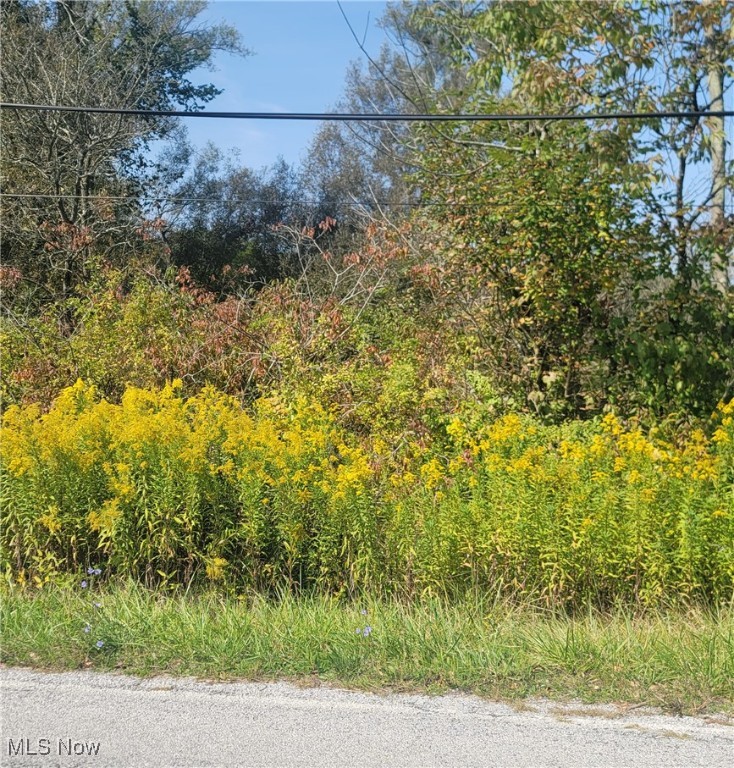 Hartville Road, Atwater, Ohio image 1