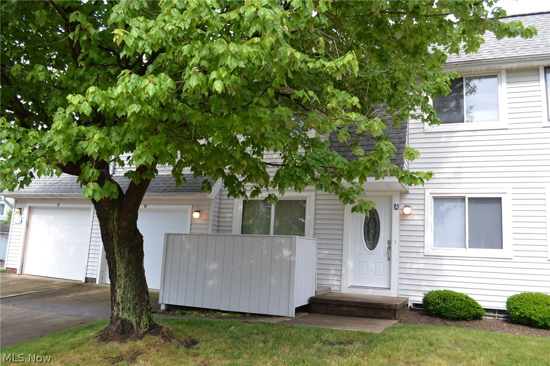 Big Turtle II - Residential