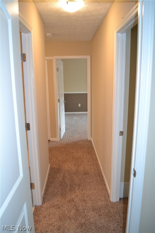 Big Turtle II - Residential