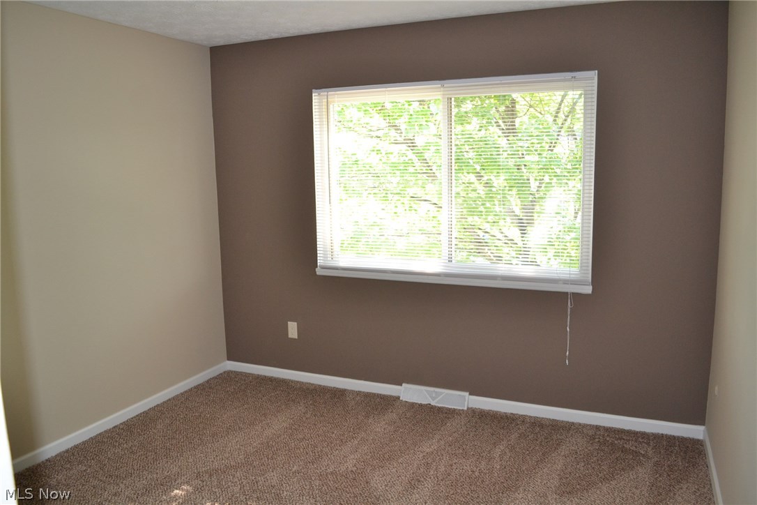 Big Turtle II - Residential