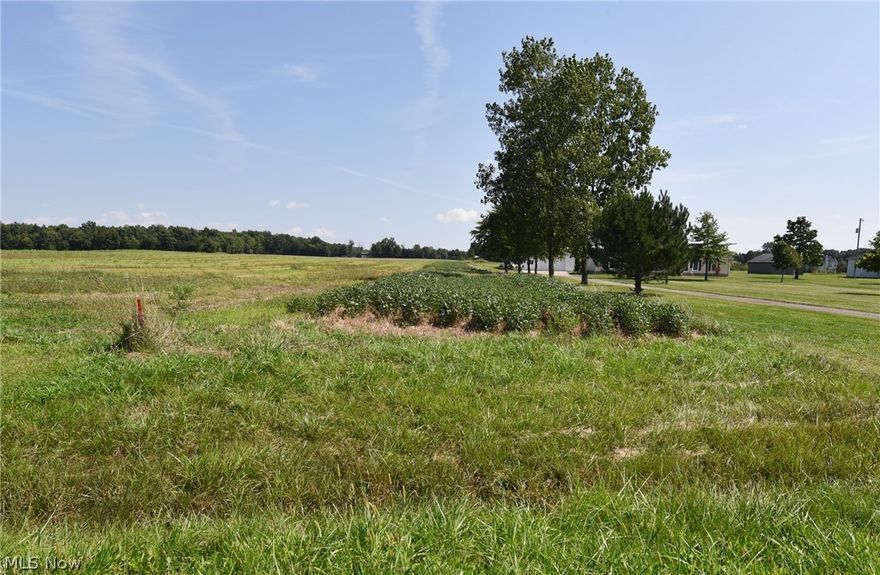 YOU MUST HAVE AN AGENT TO VIEW AND WALK THE PROPERTY. ALL SHOWINGS MUST BE SCHEDULED. Check out this beautifully secluded Country lot, located at the “S” curve on Jones RD. In Litchfield, Ohio.  This lot is perfect!!! A breathtaking location, surrounded by many shades of green.  Don’t miss this opportunity. Bring your builder to construct your Perfect Dream Home.