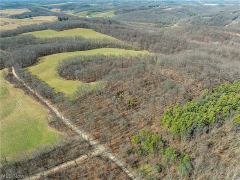 Vacant Land For Sale - Burrier Road<br/> Jewett, OH 43986