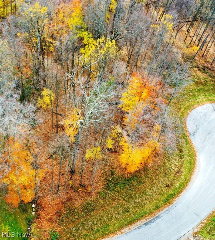 McFarland Woods Phase II - Land